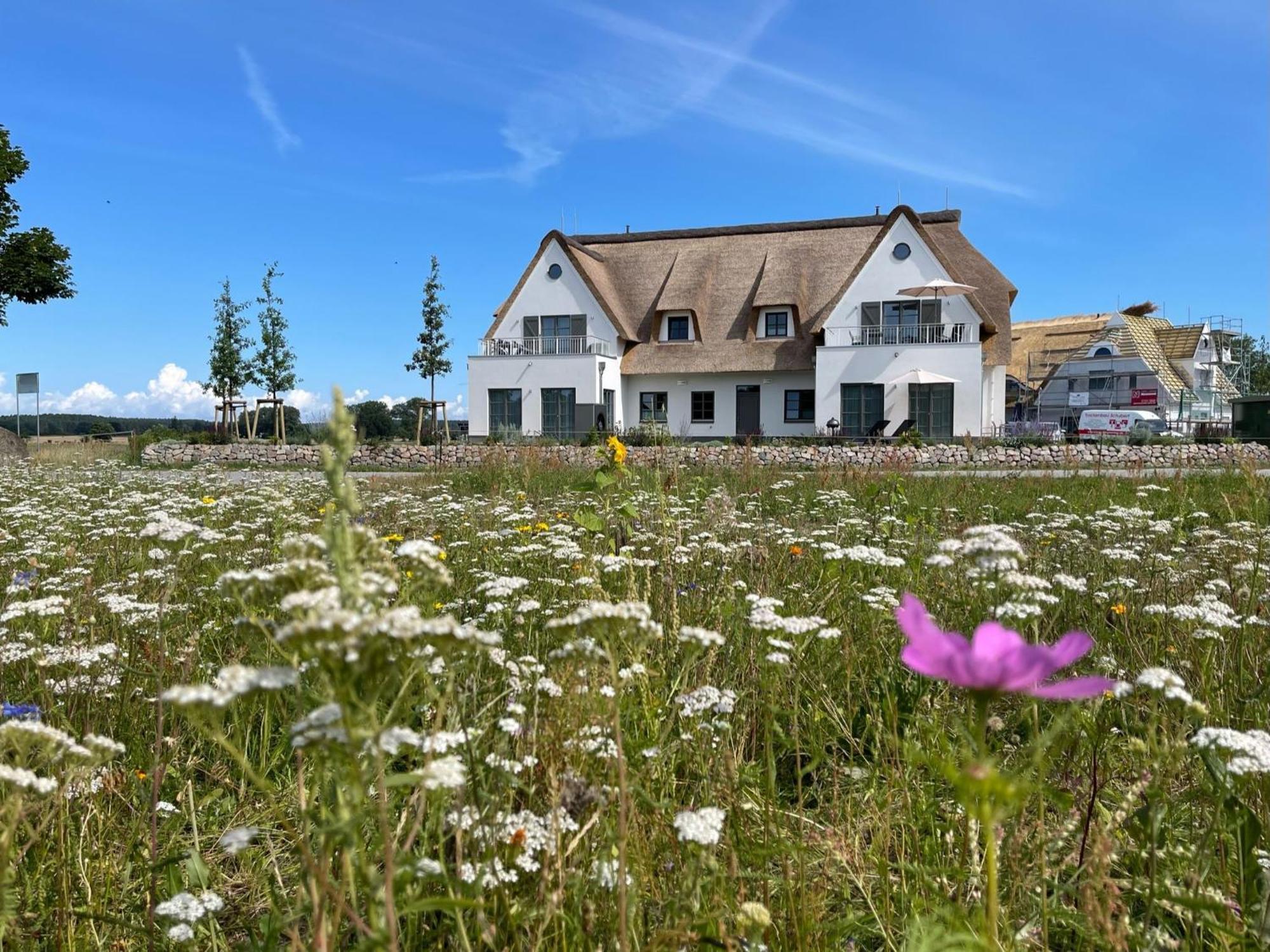 Villa Inseldomizil Stolpe - Urlaub Unter Reet Auf Usedom à Stolpe auf Usedom Extérieur photo